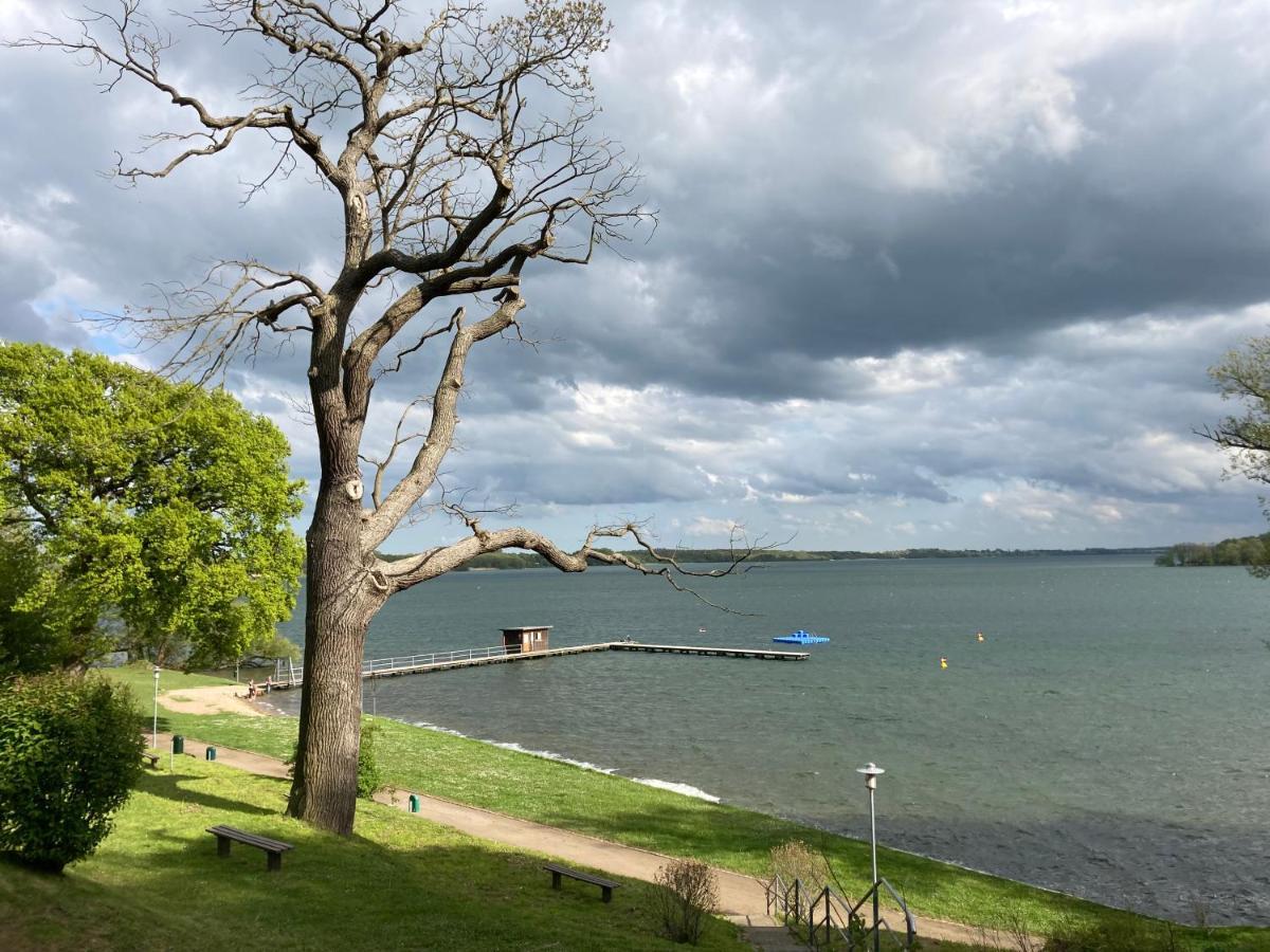 Oceans Apart BH in Schwerin - Mueßer Holz   Kleinanzeigen ist jetzt  Kleinanzeigen